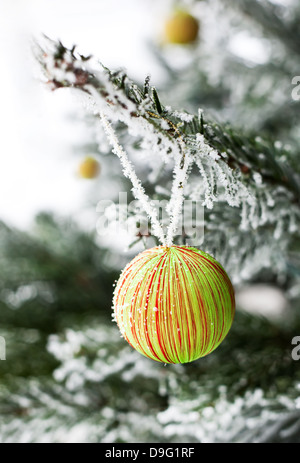 Décoration de Noël se bloque à partir d'un arbre de pin givré Banque D'Images