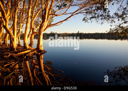 Lake Ainsworth, Lennox Head, NSW, Australie Banque D'Images