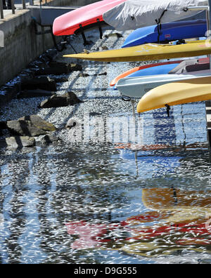 Des millions de petits poissons, y compris les anchois, le maquereau et les sardines, rejetés morts à King Harbor Marina, Redondo Beach, Californie. Une théorie en est qu'ils essayaient d'échapper à une marée rouge - une accumulation rapide des algues dans une colonne d'eau - qui va empoisonner les poissons ou de les priver d'oxygène Redondo Beach, Californie - 08.03.11 Banque D'Images