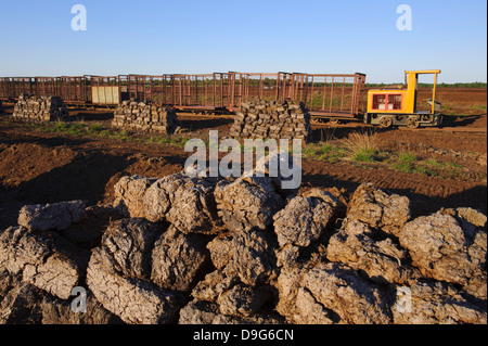 La tourbe, tourbe, Torf, Torfabbau Torfindustry, extraction de la tourbe, Banque D'Images