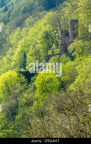 Ruines de l'ancien château sur la colline à l'extérieur Schwalbennest Neckarsteinach sur rivière Neckar dans le sud de l'Allemagne Banque D'Images