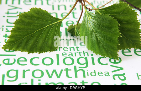 L'écologie. Mot collage sur fond blanc Banque D'Images