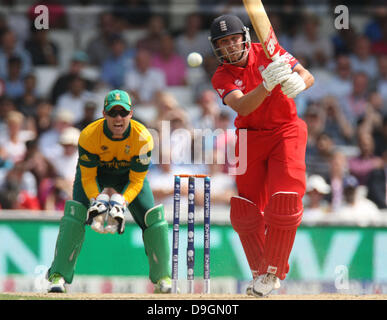 Londres, Royaume-Uni. 19 Juin, 2013. Jonathan Trott d'Angleterre au cours de l'ICC Champions trophy fixture demi-finale entre l'Angleterre et l'Afrique de l'Ovale. Credit : Action Plus Sport/Alamy Live News Banque D'Images