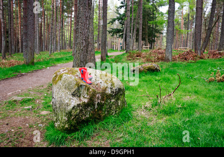 Une paire de bottes rouge kiddies à gauche sur un bloc de granite dans une forêt de pins. Banque D'Images