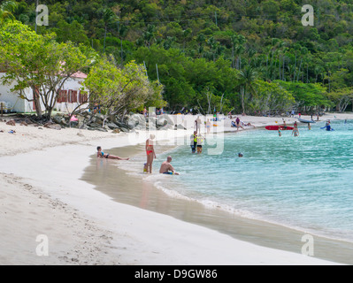 Cinnamon Bay Beach sur l'île des Caraïbes de St John dans les îles Vierges américaines Banque D'Images