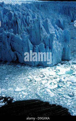 Le Glacier Perito Moreno. Ce glacier provient du champ de glace de Patagonie du Sud. Banque D'Images