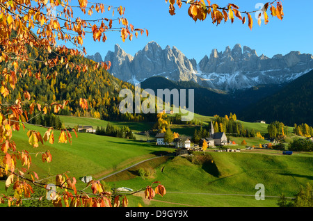 Santa Maddalena avec ses caractéristiques en face de l'église de montagne Dolomites Odle pics dans le Val di Funes en automne de l'Italie. Banque D'Images