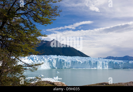 Le Glacier Perito Moreno. Ce glacier provient du champ de glace de Patagonie du Sud. Banque D'Images