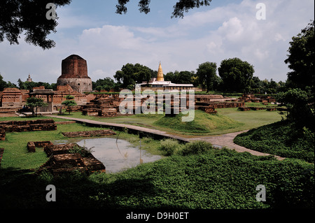 Sarnath est le Deer Park où le Bouddha Gautama a trouvé l'illumination. L'Uttar Pradesh, Inde Banque D'Images