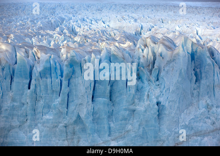 Le Glacier Perito Moreno. Ce glacier provient du champ de glace de Patagonie du Sud. Banque D'Images