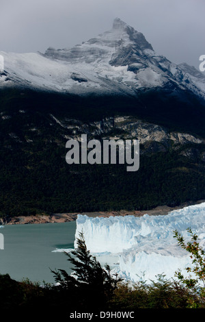 Le Glacier Perito Moreno. Ce glacier provient du champ de glace de Patagonie du Sud. Banque D'Images