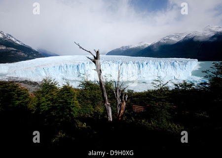 Le Glacier Perito Moreno. Ce glacier provient du champ de glace de Patagonie du Sud. Banque D'Images