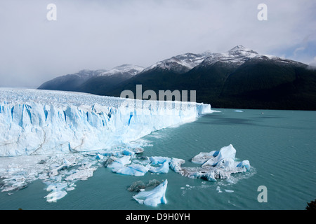 Le Glacier Perito Moreno. Ce glacier provient du champ de glace de Patagonie du Sud. Banque D'Images