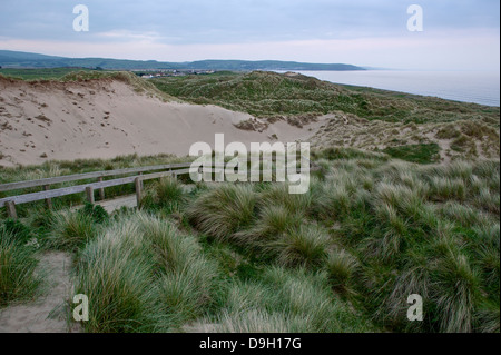 Une passerelle en bois (boardwalk) à travers le vide dunes de sable de l'Ynyslas, Powys, Pays de Galles de l'Ouest, avec des roseaux en premier plan. Banque D'Images