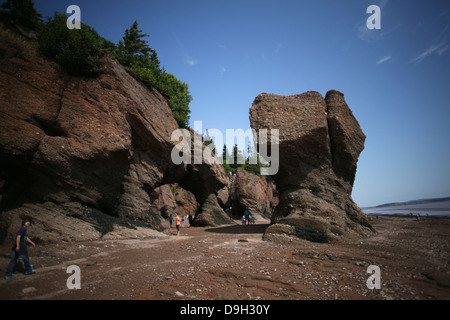 Les Rochers de Hopewell durant la marée basse à Hopwell Cape près de Moncton, au Nouveau-Brunswick. Banque D'Images