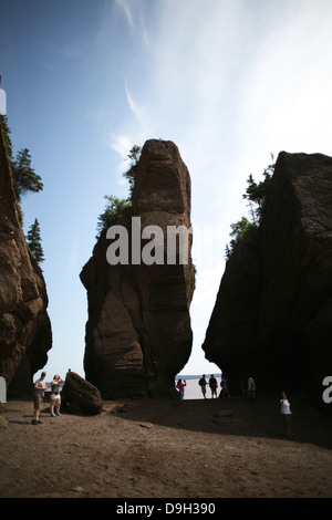 Les Rochers de Hopewell durant la marée basse à Hopwell Cape près de Moncton, au Nouveau-Brunswick. Banque D'Images