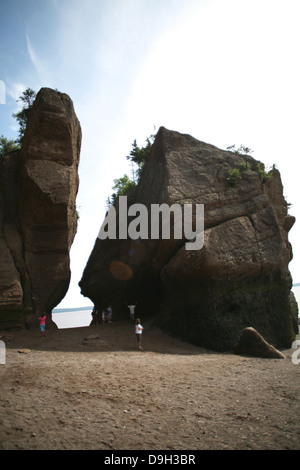 Les Rochers de Hopewell durant la marée basse à Hopwell Cape près de Moncton, au Nouveau-Brunswick. Banque D'Images