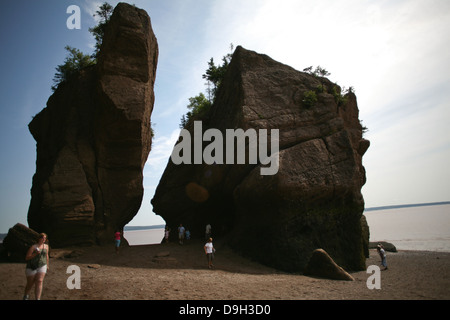 Les Rochers de Hopewell durant la marée basse à Hopwell Cape près de Moncton, au Nouveau-Brunswick. Banque D'Images