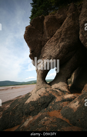 Les Rochers de Hopewell durant la marée basse à Hopwell Cape près de Moncton, au Nouveau-Brunswick. Banque D'Images