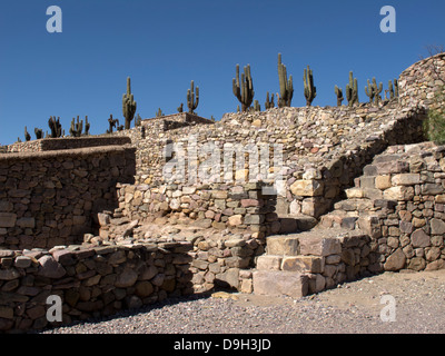 La Pucara de Tilcara est une forteresse construite par les indiens tilcaras, à un point stratégique sur la vallée Quebrada de Humahuaca. Banque D'Images