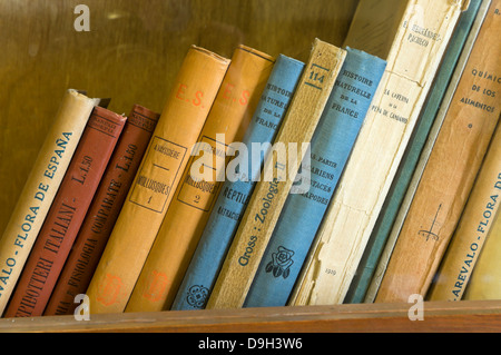 Classe d'Antonio Machado dans la vieille université - détail livres, Baeza, Jaen-province, région d'Andalousie, Espagne, Europe Banque D'Images