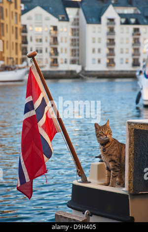 Chat assis sur un bateau amarré le long d'Alesund harbour, re-construit en style Art Nouveau Jugendstil, Plus et Romsdal, Norvège, Scandinavie Banque D'Images