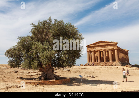 Tempio della Concordia, Concord Temple, Valle dei Templi, Agrigento, Sicile, Italie Banque D'Images