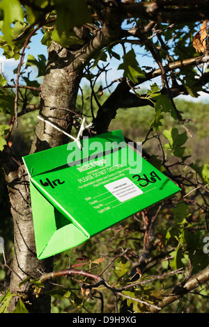 Piège à insectes fort attaché à un arbre dans le Crex Meadows de faune dans l'ouest du Wisconsin, USA. Banque D'Images