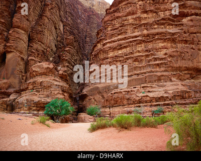 Entrée de Khazali canyon dans le Wadi Rum, Aqaba, Jordanie, Moyen-Orient Banque D'Images