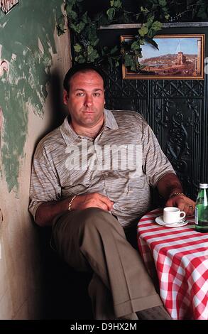 19 juin 2013 - JOSEPH JAMES GANDOLFINI JR., 51, (18 septembre, 1961 - Juin 19, 2013), acteur américain, mieux connu sous le nom de Tony Soprano sur HBO's ''Les Sopranos,'' est mort d'une crise cardiaque (infarctus du myocarde ou un stoke) à Rome sur son chemin vers la Sicile et le Festival du Film de Taormina, avec son fils adolescent. Sur la photo : le 23 novembre 1998 - James Gandolfini sur l'ensemble de sa série à succès, -Les Sopranos. (Crédit Image : © Globe Photos/ZUMAPRESS.com) Banque D'Images