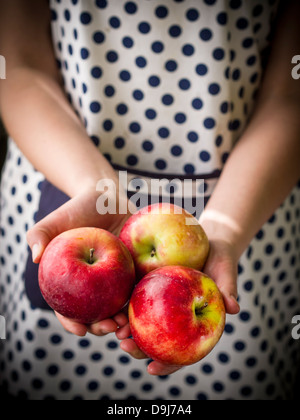 Pommes rouges tenue par une femme en tablier. Banque D'Images