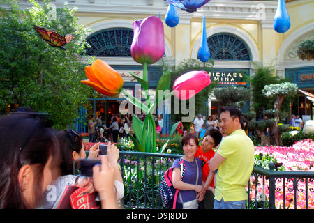 Las Vegas Nevada, The Strip, South Las Vegas Boulevard, Bellagio, hôtels d'hôtel hôtels motels de motel, casino, jardin d'hiver et jardins botaniques, Asie asiatique Banque D'Images