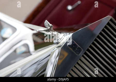 Détail de l'avant mariage Rolls Royce voiture montrant le ruban, la calandre, le radiateur, l'esprit de l'extase de l'emblème Banque D'Images