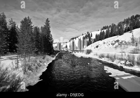 Le long du sentier de motoneige dans la région de Grays River, Wyoming, un affluent de la rivière Snake. Banque D'Images