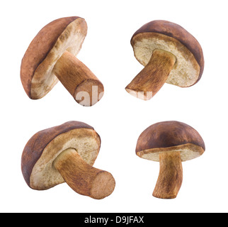 Les champignons avec clipping path Banque D'Images