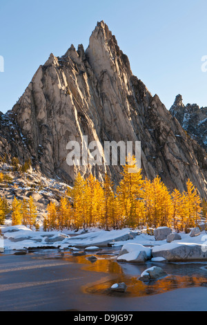 Au-dessus de pics Prusik Gnome Tarn gelé après une tempête de neige précoce, l'enchantement des lacs, les lacs alpins Wilderness, Cascades, Washington. Banque D'Images