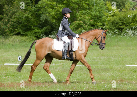 Un concurrent de prendre part à un événement d'une journée. L'événement est composé de dressage, cso et Cross Country. Banque D'Images