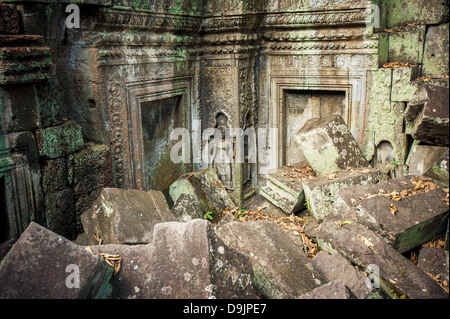 Ta Prohm Temple, Angkor, Cambodge Banque D'Images