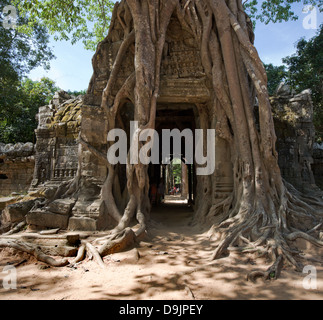 Ta Som Temple, Angkor, Cambodge Banque D'Images