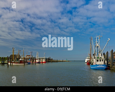 Dans le port de la mer du Nord, Fedderwardersiel resort Wesermarsch, Butjadingen, Basse-Saxe, Allemagne Banque D'Images