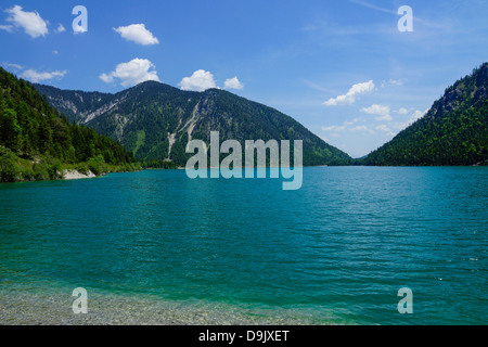 Lac Plansee, Alpes, montagnes Ammer Banque D'Images