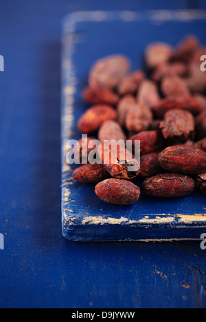 Chocolat cacao torréfié haricots sur fond de bois bleu foncé Banque D'Images