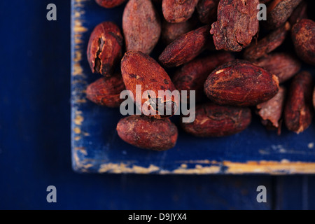 Chocolat cacao torréfié haricots sur fond de bois bleu foncé Banque D'Images