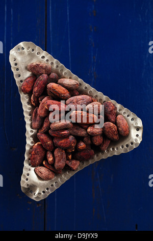 Chocolat cacao torréfié haricots sur fond de bois bleu foncé Banque D'Images