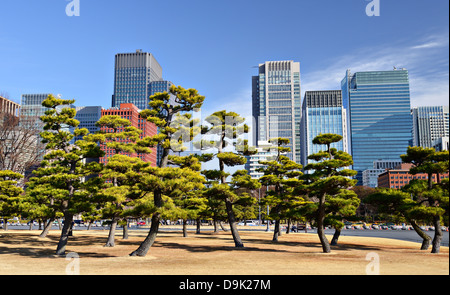 Tokyo, Japon, quartier des affaires de Marunouchi vue depuis le parc du Palais Impérial de Tokyo. Banque D'Images