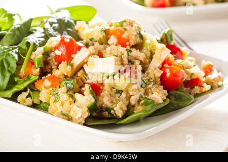 Le quinoa Vegan organique avec des légumes comme la tomate, tofu, et concombre Banque D'Images