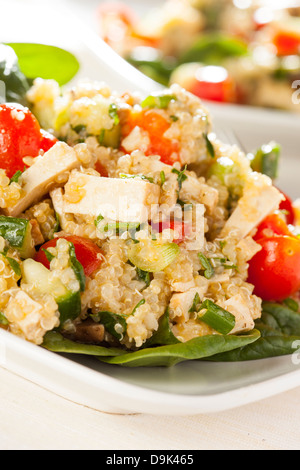 Le quinoa Vegan organique avec des légumes comme la tomate, tofu, et concombre Banque D'Images