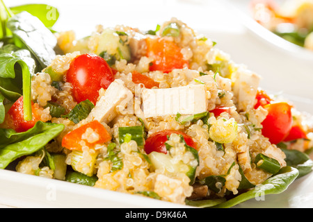 Le quinoa Vegan organique avec des légumes comme la tomate, tofu, et concombre Banque D'Images