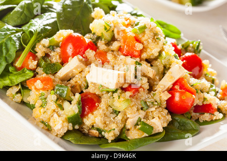 Le quinoa Vegan organique avec des légumes comme la tomate, tofu, et concombre Banque D'Images