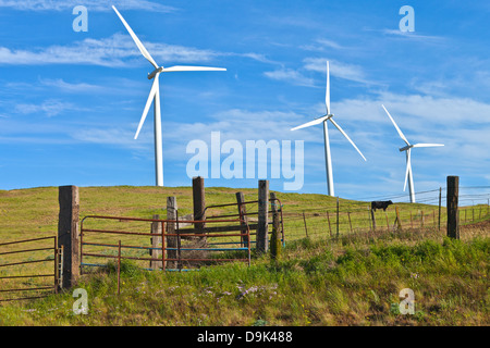 Créer de l'énergie éolienne sur une colline à l'Est de Washington. Banque D'Images